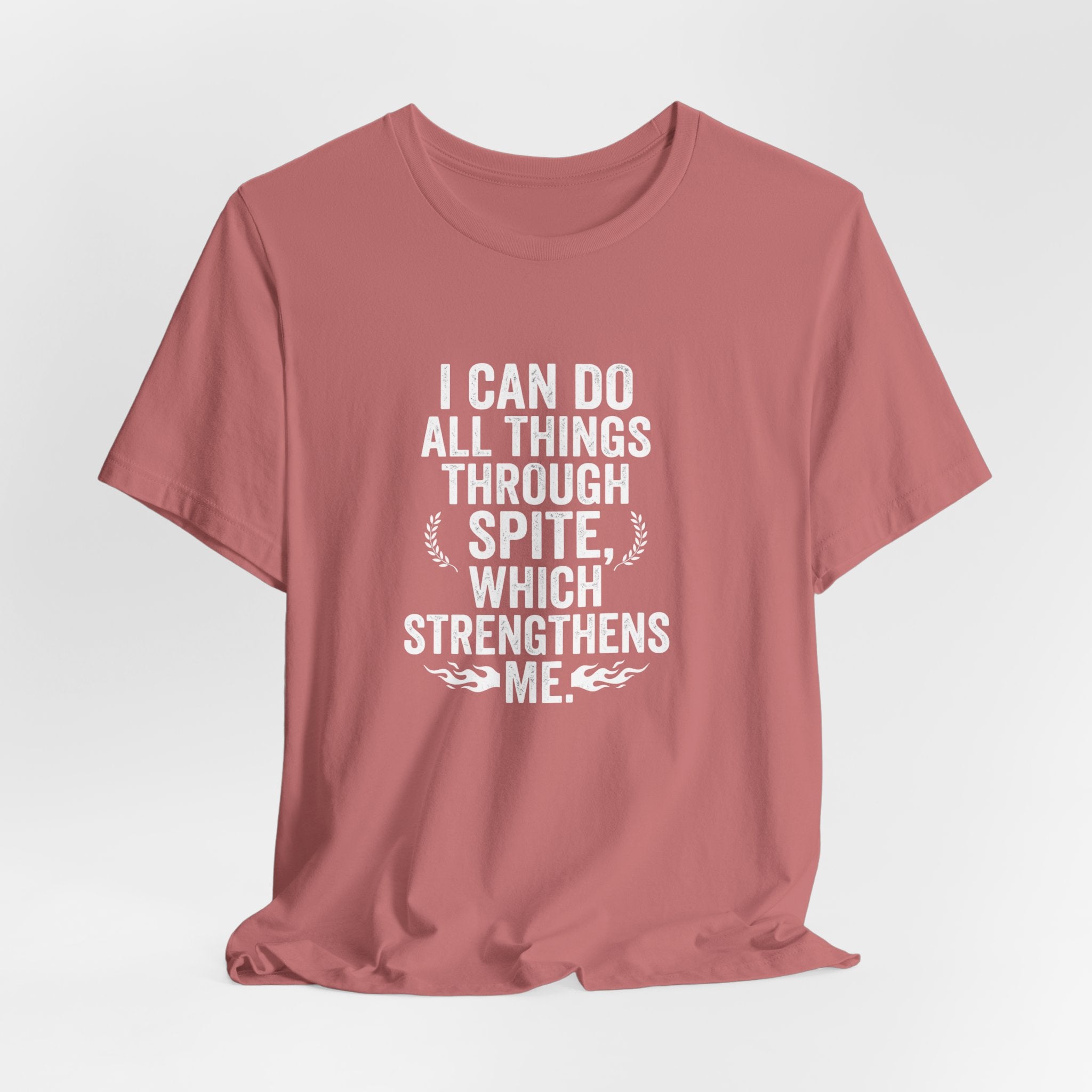 "I can do all things through spite" T shirt | Funny Quote